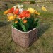 Цветник КАНЬОН купить в Кузнецке