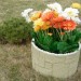 Цветник КАНЬОН купить в Кузнецке