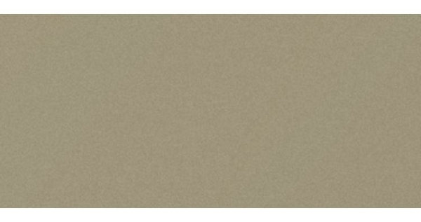 Сайдинг CEDRAL smooth (гладкий) С03 купить в Кузнецке