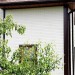 Фасадная панель Grand Line Сланец молочный купить в Кузнецке